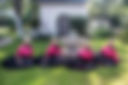 Poodles on ground.jpg